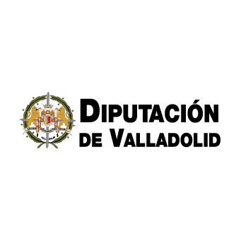 Logo Diputación Valladolid color