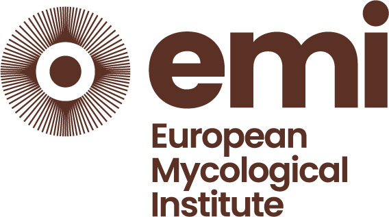 Logo emi color@2x