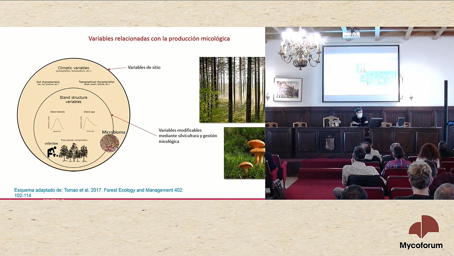Efecto-de-la-gest.-forestal-y-micologica